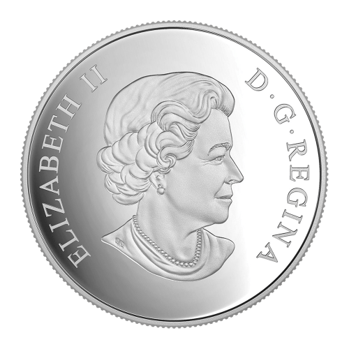 Pièce 1 once d'argent Épreuve numismatique Art et géométrie | Ours polaire 2016