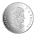 Pièce 1 once d'argent Épreuve numismatique Art et géométrie | Ours polaire 2016