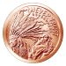 1 oz 2015 Never Trust Government Copper Round