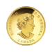 14 kt 2016 Batman v Superman: Dawn of Justice™ Gold Proof Coin