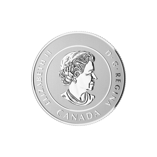 1/4 oz 2016 Batman v Superman: Dawn of Justice™ | $20 for $20 Silver Coin