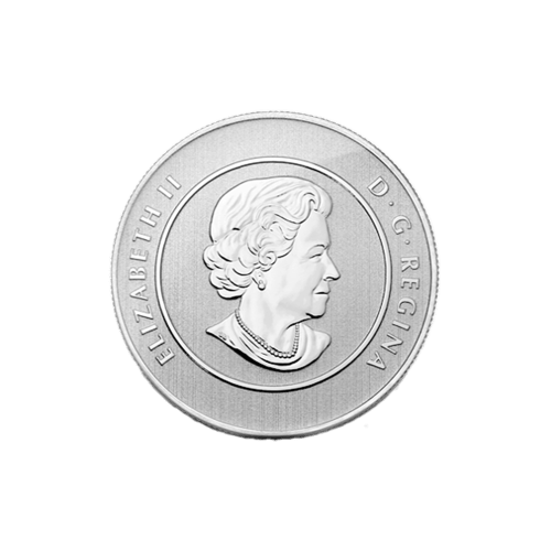 1/4 oz 2012 Polar Bear $20 for $20 Silver Coin