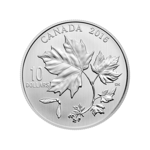 Pièce 1/2 once d'argent Feuilles d'érable canadiennes 2016