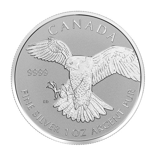 1 oz 2016 Birds of Prey Reverse Proof Series: Peregrine Falcon Silver Coin Royal Canadian Mint