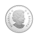 Pièce 1/2 once d'argent Épreuve numismatique L'ère des dinosaures | Le Lézard à cornes 2016