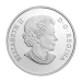Pièce 1 once d'argent 3D colorée Épreuve numismatique Mère Terre 2016