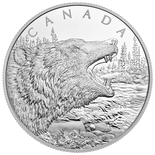 1/2 kilo 2016 Roaring Grizzly Silver Proof Coin | Royal Canadian Mint