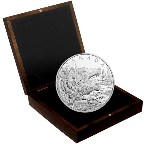 1/2 kilo 2016 Roaring Grizzly Silver Proof Coin | Royal Canadian Mint