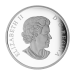 Pièce 1 once d'argent Épreuve numismatique Star Trek™ | Enterprise MRC 2016