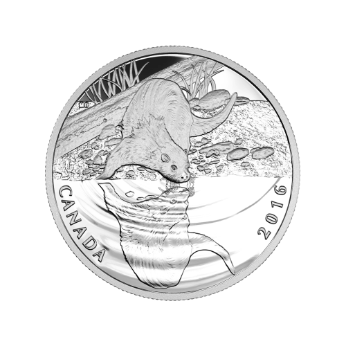 1/2 oz 2016 Reflections of Wildlife | Otter Silver Proof Coin