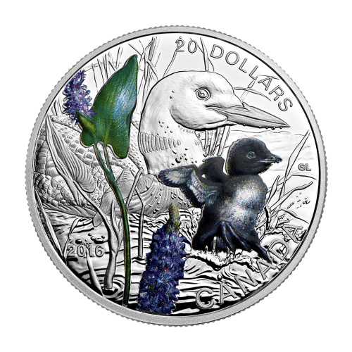 Pièce 1 once d'argent Série Petits du monde animal | Plongeon Huard 2016