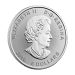 1 oz 2016 Superman™ S-Shield Silver Coin | Royal Canadian Mint