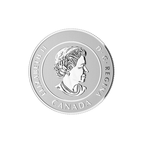 Pièce 1/4 once d'argent coloré 25 $ pour 25 $ Grand Nord 2016