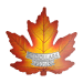 1 oz 2016 Canada's Colourful Maple Silver Coin | Royal Canadian Mint