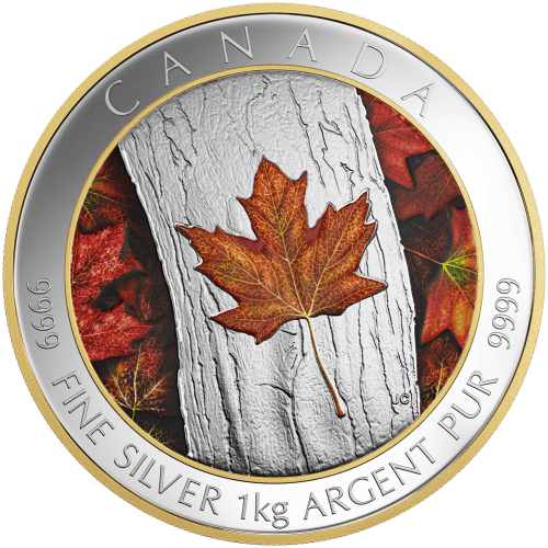 1 kilo 2016 Maple Leaf Forever Colourized Silver Coin | Royal Canadian Mint