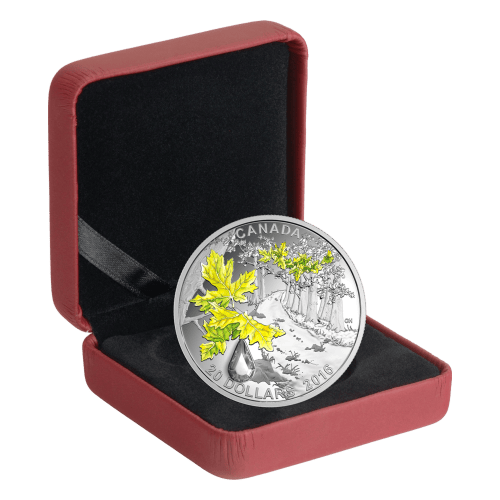 1 oz 2016 Jewel of the Rain Bigleaf Maple Colourized Silver Coin | Royal Canadian Mint