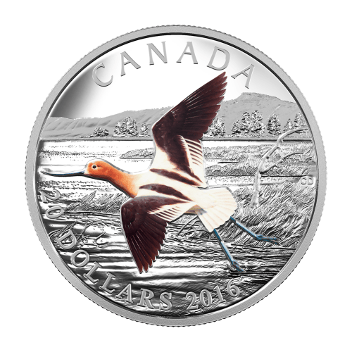 1 oz 2016 Migratory Birds Convention | American Avocet Colourized Silver Coin