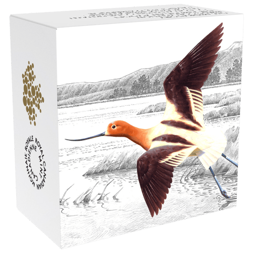 1 oz 2016 Migratory Birds Convention | American Avocet Colourized Silver Coin