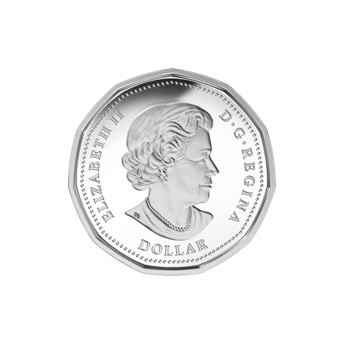1/4 oz 2016 Lucky Loonie Colourized Silver Proof Coin | Royal Canadian Mint