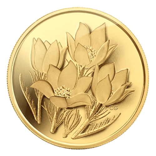 Pièce d'or Anémone pulsatille Monnaie royale canadienne 2010 | Sans boîte ou certificat d'authenticité