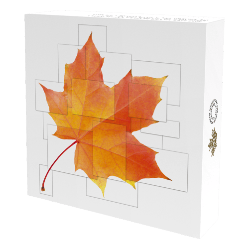 Set of 4 x 1/4 oz 2017 Maple Leaf Quartet Silver Coins | Royal Canadian Mint