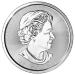 Pièce 10 onces d'argent Arbre de vie 2017 | Monnaie royale canadienne