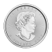 Pièce 1 once d'argent Feuille d'érable canadienne 2017 | Monnaie royale canadienne