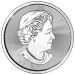 10 oz 2017 Magnificent Maple Leaves Silver Coin | Royal Canadian Mint