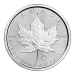 1 oz 2017 Canadian Maple Leaf Platinum Coin | Royal Canadian Mint