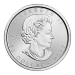 1 oz 2017 Canadian Maple Leaf Platinum Coin | Royal Canadian Mint