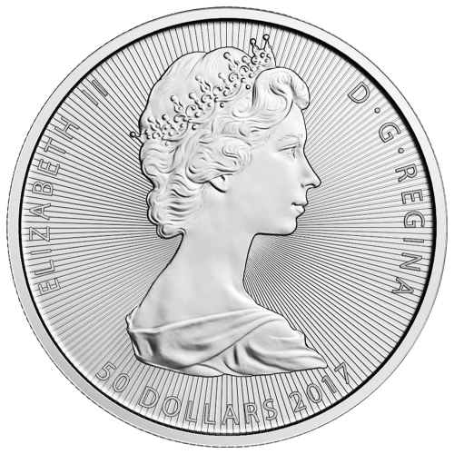 10 oz 2017 Canada the Great Series: Niagara Falls Silver Coin | Royal Canadian Mint