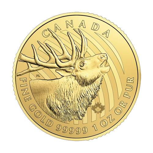 Série Cris d'animaux sauvages 2017 1 once | Pièce d'or Wapiti