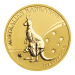 Pièce 1 once d'or Kangourou australien 2009 | Monnaie de Perth
