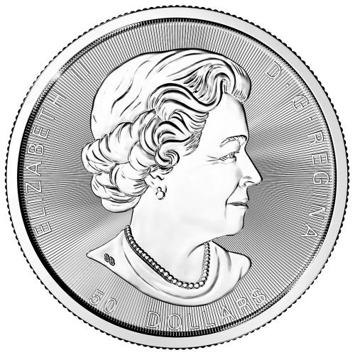 Pièce 10 onces d'argent Ours grizzli canadien 2017