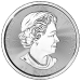 Pièce 10 onces d'argent Ours grizzli canadien 2017