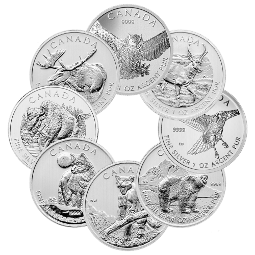 1 oz Random Year Our Choice of Toned and Spotted Silver Coin | Royal Canadian Mint