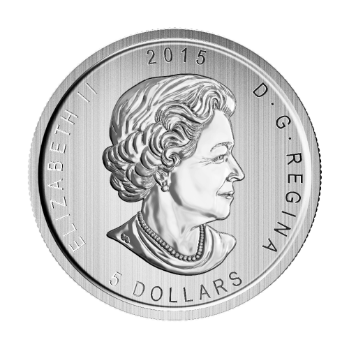 1 oz Random Year Our Choice of Toned and Spotted Silver Coin | Royal Canadian Mint