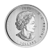 1 oz Random Year Our Choice of Toned and Spotted Silver Coin | Royal Canadian Mint