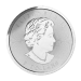 Notre sélection de pièce 1,5 once d'argent de la MRC Année aléatoire | Monnaie royale canadienne