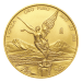1 oz 2017 Mexican Libertad Gold Coin | Mexican Mint