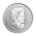 Pièce 1 once d'argent Édition spéciale Canada 150e Voyageur 2017 | Monnaie royale canadienne