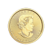 Pièce d'or Feuille d'érable canadienne 2018 de 1/2 once