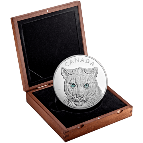 1 kilo 2015 In the Eyes of the Cougar PF70 Ultra Cameo Silver Coin | Royal Canadian Mint