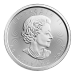 1 oz 2018 Canadian Maple Leaf Platinum Coin | Royal Canadian Mint