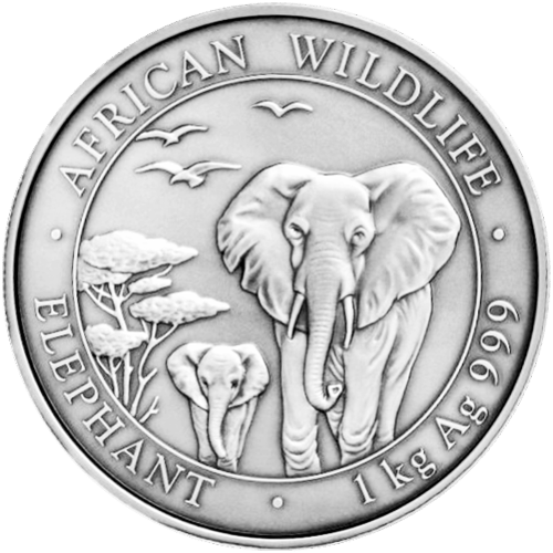 Pièce 1 kilo d'argent Éléphant africain vieilli Somalie 2015