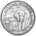 Pièce 1 kilo d'argent Éléphant africain vieilli Somalie 2015