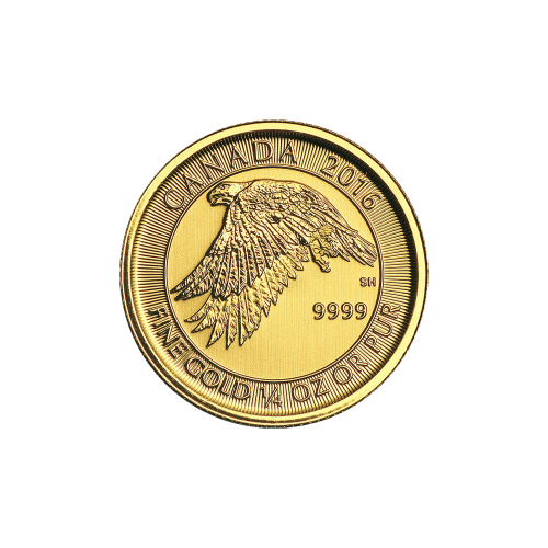 1/4 oz 2016 Canadian Gyrfalcon Gold Coin | Royal Canadian Mint