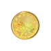 1/4 oz 2001 Canadian Maple Leaf Hologram Gold Coin | Royal Canadian Mint