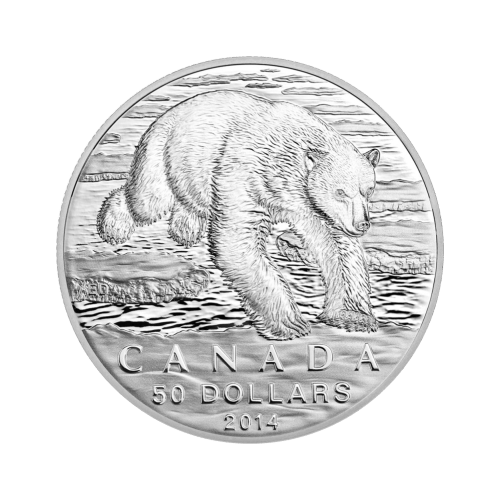 Random Year 1/2 oz $50 for $50 Silver Coin | Royal Canadian Mint