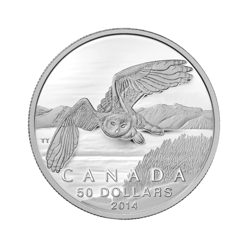 Random Year 1/2 oz $50 for $50 Silver Coin | Royal Canadian Mint